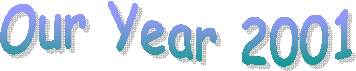 Our Year 2001